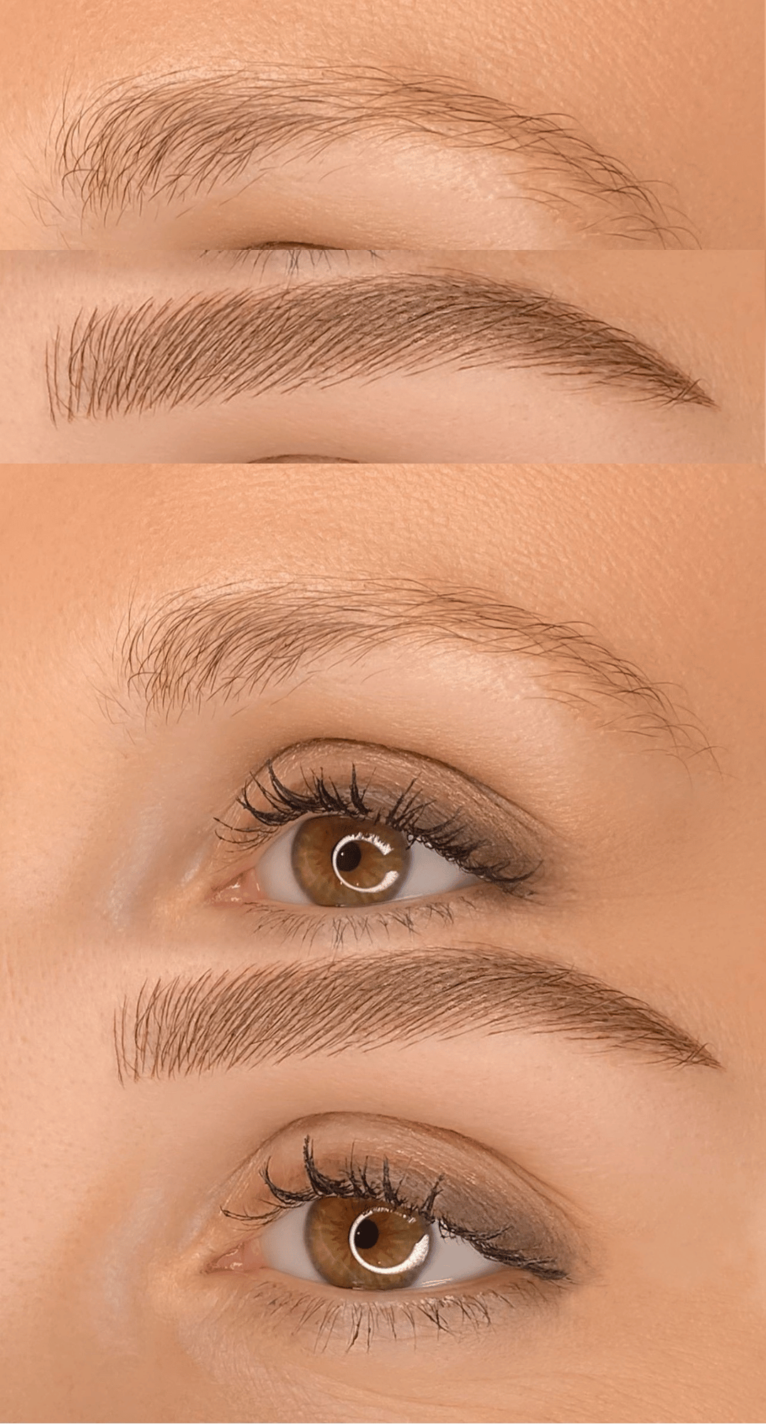 FORMATION Phibrows Microblading